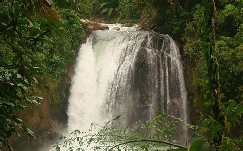 Sumaco Napo Galera National Park Saga Tevé