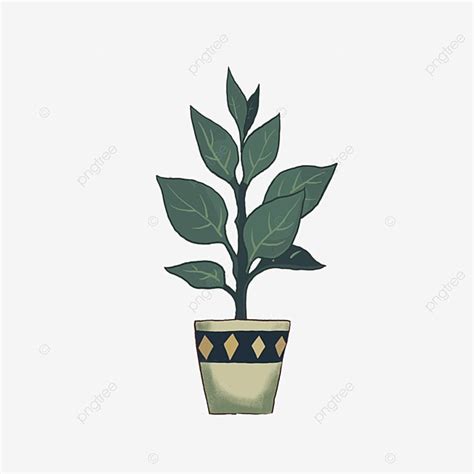 Plant Pots Png Transparent Potted Plants Green Plants Plant Pot