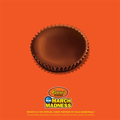 Basketball Bracket S Get The Best  On Giphy