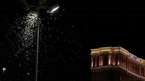 Grasshopper Swarm In Las Vegas Is So Large It Likely Is Showing Up On Weather Radar