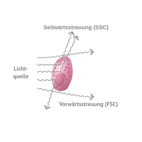 Facs Signalmessung Labster