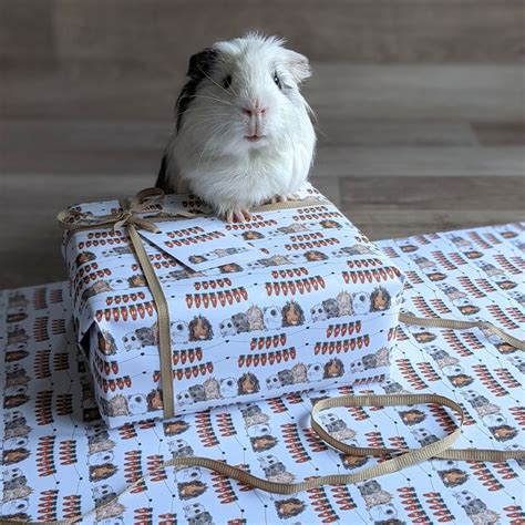 Guinea Pig Birthday T Wrap Wrapping Paper And T Tag Set Etsy Uk