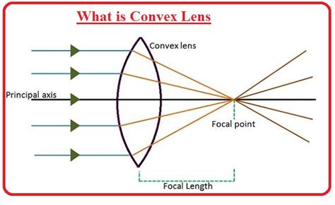 Difference Between Concave And Convex Lens The Engineering Knowledge