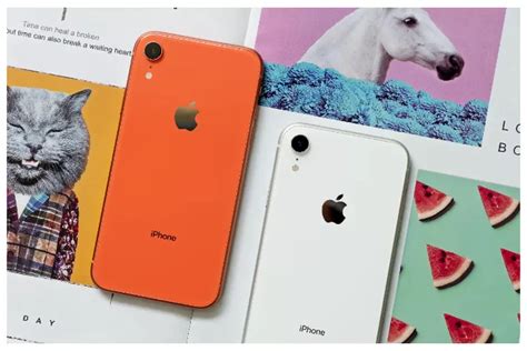 Alasan Mengapa IPhone XR Masih Menarik Di Akhir Tahun 2023 Urban Bekasi