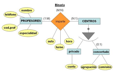 Reacciones y diseños de diagramas del modelo entidad relación