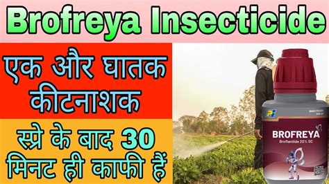 Pi Brofreya Insecticide Pi Bro Freya Bro Freya Insecticide