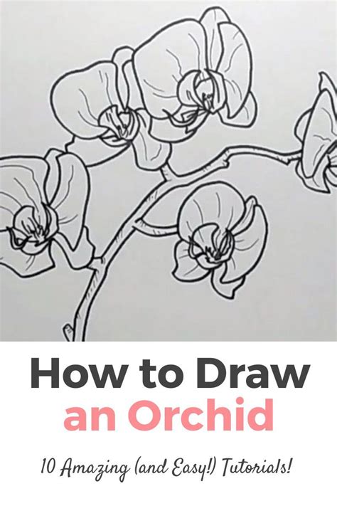 10 Amazing And Easy Step By Step Tutorials Ideas On How To Draw An