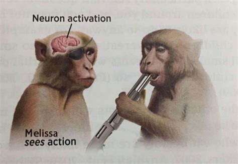 Melissa Sees Action Neuron Activation Know Your Meme