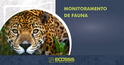 Monitoramento De Fauna Ecossis