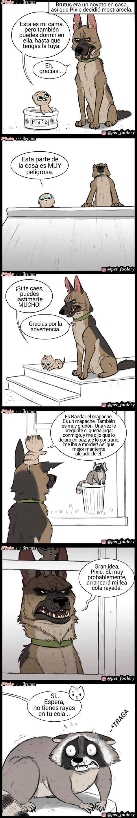 Un Artista Dibuja C Mics Sobre La Amistad De Una Linda Gatita Y Un