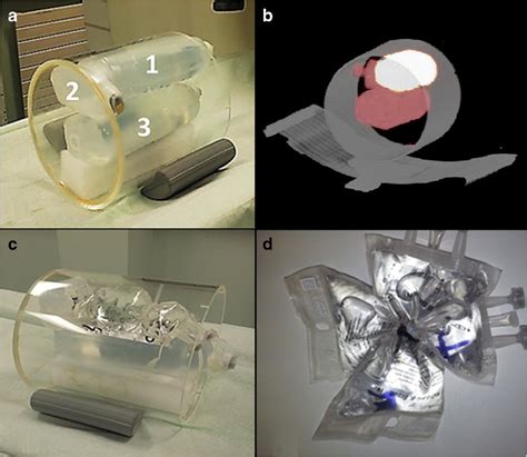 Characteristics Of The Assembled Anthropomorphic Phantom A Scheme Of Download Scientific