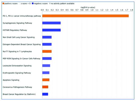 The Top Canonical Pathways Significantly Affected By Cnvs In Gc Group