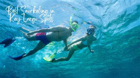 Key Largo Snorkeling: 10 Best Snorkel Spots