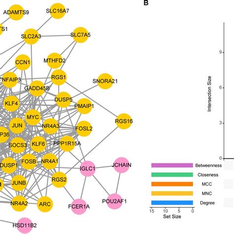 Proteinprotein Interaction Network A The Proteinprotein Interaction