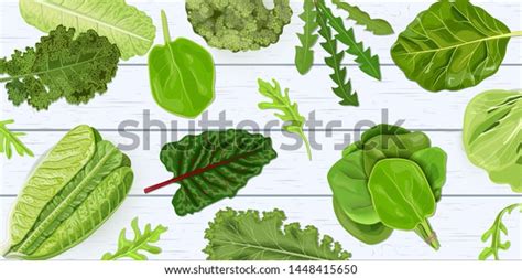 3518 Leafy Green Vegetables Stock Vectors Images And Vector Art