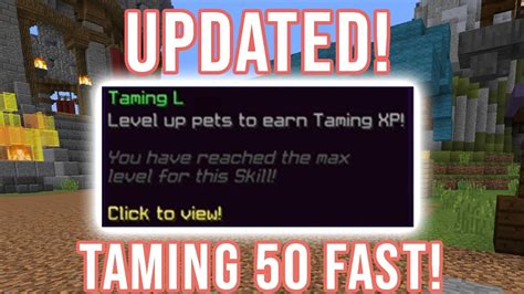 Updated Fastest Way To Level Up Taming In Hypixel Skyblock Youtube