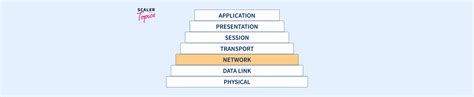 Network Layer Protocols Scaler Topics