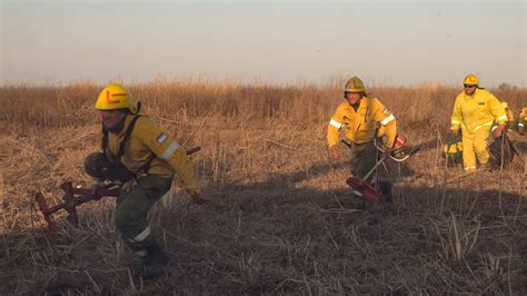 Incendios Forestales En Salta Casi 4 000 Hectáreas Afectadas Por El Fuego En Distintos Puntos