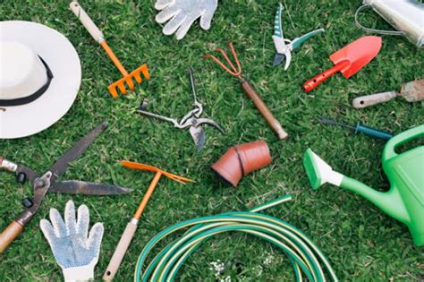 Les Outils Indispensables au Jardinage Notre Sélection pour Débuter