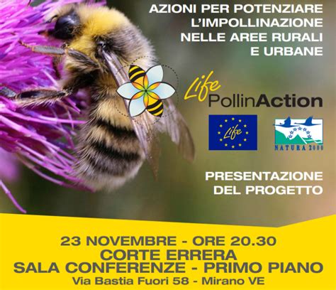 Presentazione Del Progetto Europeo Life Pollinaction Il Novembre