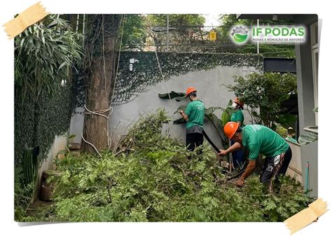 If Podas Poda E Remoção De Árvores Em São Paulo