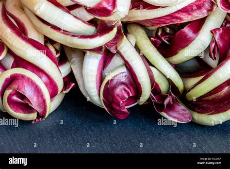 Radicchio Treviso Heads Composition On Slate Board Natural And