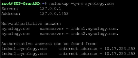 How Can I Query DNS Records With The Nslookup Command Synology