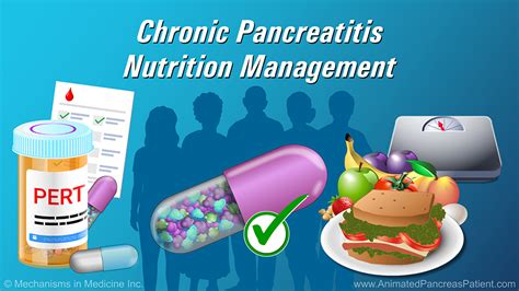 Slide Show Chronic Pancreatitis Nutrition Management