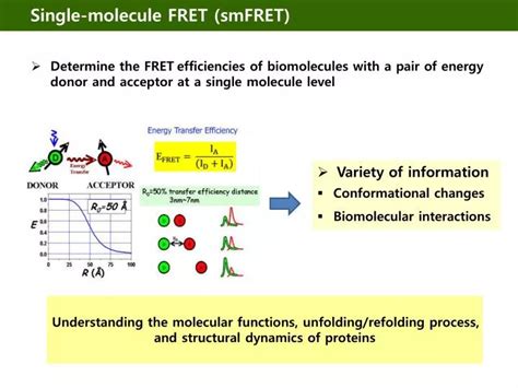 Ppt Single Molecule Fret Smfret Powerpoint Presentation Free