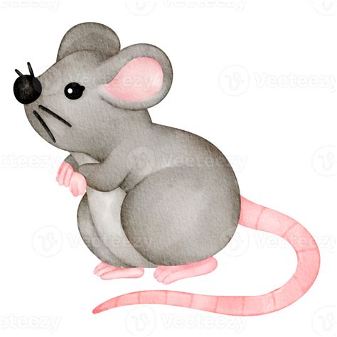 Watercolor Animal Mouse 36910201 Png