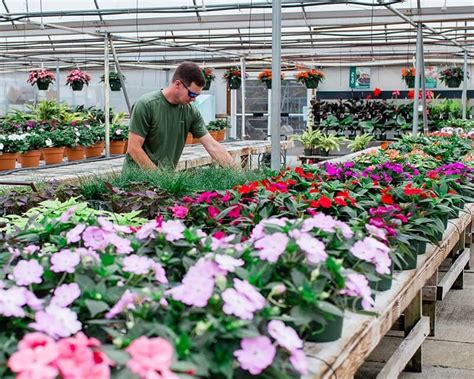 Fairview Garden Center Plant Nursery Raleigh Nc Garden Center Apex