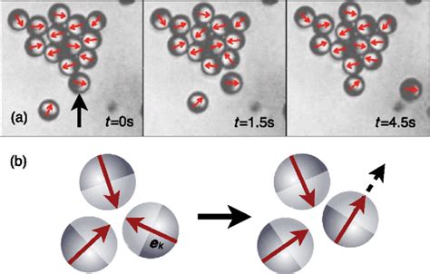 Cluster Formation In Propelled Janus Particles A Consecutive