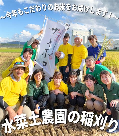 【楽天市場】新米【無洗米】 秋田県産 あきたこまち 10kg（5kg×2袋）令和5年産 御縁米（縁結び） 150g プレゼント付き：水菜土農園