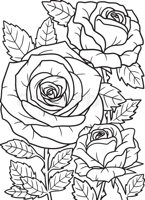 Coloring Pages For Adults Roses