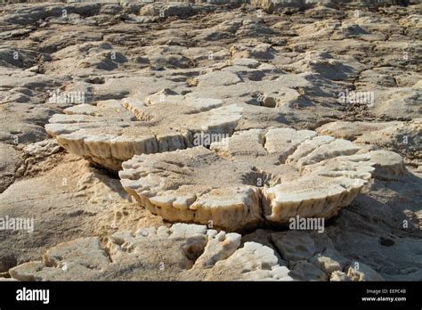 Salt Formations on Saltwater Lake, Dallol, Danakil Desert, Ethiopia, Africa Stock Photo - Alamy