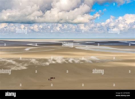 View of low tide from Mont-Saint-Michel. The dramatic tides vary ...