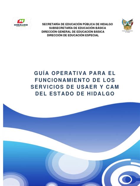 Guía Operativa Sept 2017 2018 Pdf Invalidez Educación Especial