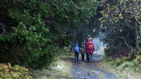 Wandern Im Harz Nationalpark Geht Gegen Illegale Wanderwege Vor