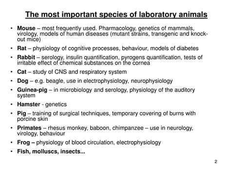 PPT - LABORATORY ANIMALS PowerPoint Presentation, free download - ID ...