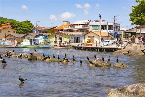 Florianopolis Brazil January Houses Birds And Rocks On