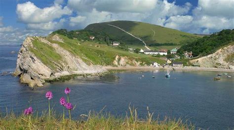 Your Guide to Lulworth Cove and Surrounding Area