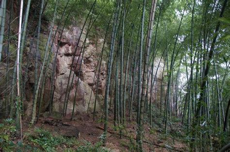 Rock Climbing In Hangzhou China Adventure In My Veins