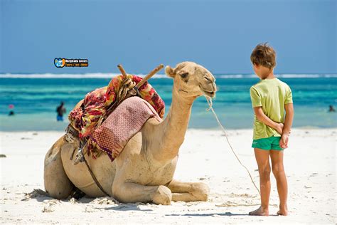 Things To Do In Hurghada City For Families Kids Honeymoon