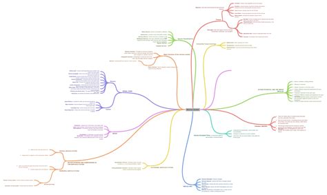 Nervous System Coggle Diagram