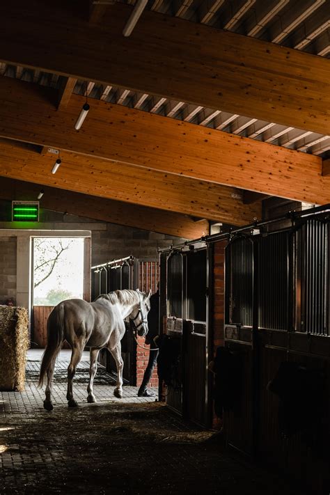 Horse House Stable By Wiercinski Studio Industrial Buildings