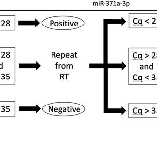 Decision Making Flowchart For Revised Serum Mir A P Method First