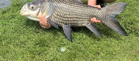 Giant Monster Fishing Private Day Tour From Ho Chi Minh Klook
