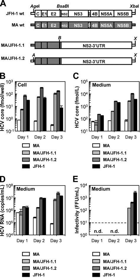 Replication And Virus Production By Ma Jfh Chimeras In Huh