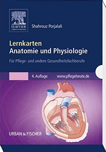 Lernkarten Anatomie Und Physiologie F R Pflege Und Andere