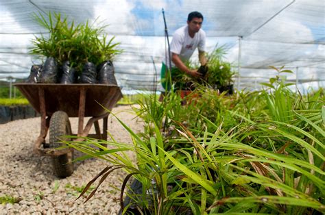 Understanding And Advancing Climate Adaptation In Latin America Climate And Development